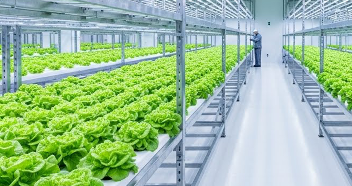 스마트 정밀 농업